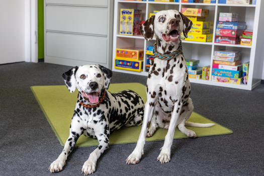 Nelly und Coco